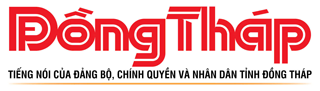 bao dong thap