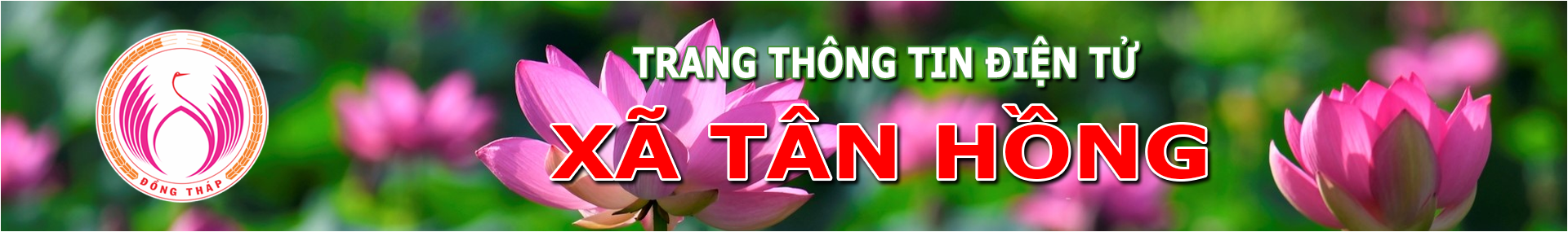 huyện Tân Hồng